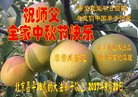 法轮功,北京大法弟子恭祝师尊中秋好(22条)