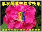 ֹ,󷨵ӹףʦ(19)