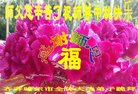 ֹ,󷨵ӹףʦ(19)