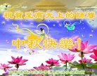 ֹ,Ϋ󷨵ӹףʦ(24)