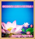 ֹ,ʯׯ󷨵ӹףʦ(24)