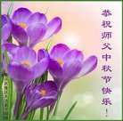 法轮功,重庆大法弟子恭祝师尊中秋好(21条)