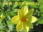 ֹ,󷨵ӹףʦ(19)