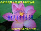 ֹ,ʴ󷨵ӹףʦ(28)