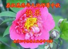 ֹ,մ󷨵ӹףʦ(21)