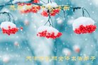 ֹ,󷨵ӹףʦ(21)