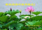 法轮功,广东大法弟子恭祝师尊中秋好(24条)
