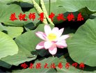 ֹ,󷨵ӹףʦ(18)