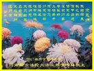 ֹ,ϴ󷨵ӹףʦ(22)