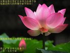 ֹ,մ󷨵ӹףʦ(26)