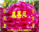 ֹ,󷨵ӹףʦ(19)