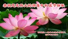 ֹ,󷨵ӹףʦ(21)