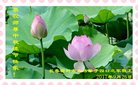 ֹ,󷨵ӹףʦ(19)
