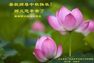ֹ,ൺ󷨵ӹףʦ(24)