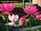 ֹ,󷨵ӹףʦ(18)