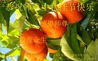 ֹ,󷨵ӹףʦ(22)
