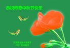 ֹ,󷨵ӹףʦ(18)