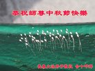 ֹ,󷨵ӹףʦ(20)