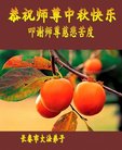 ֹ,󷨵ӹףʦ(19)