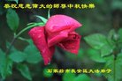 ֹ,ʯׯ󷨵ӹףʦ(22)