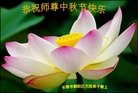 ֹ,󷨵ӹףʦ(20)