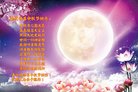ֹ,ɶ󷨵ӹףʦ(20)