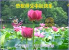 法轮功,沈阳大法弟子恭祝师尊中秋好(22条)