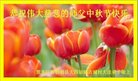 ֹ,󷨵ӹףʦ(19)