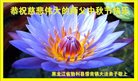 ֹ,󷨵ӹףʦ(19)