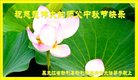ֹ,󷨵ӹףʦ(18)