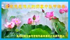 法轮功,黑龙江大法弟子恭祝师尊中秋好(18条)