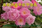 ֹ,żҿڴ󷨵ӹףʦ(21)
