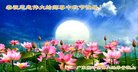 法轮功,广东大法弟子恭祝师尊中秋好(26条)