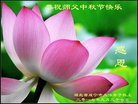 ֹ,󷨵ӹףʦ(19)