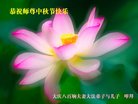 ֹ,󷨵ӹףʦ(19)