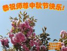ֹ,ʯׯ󷨵ӹףʦ(22)