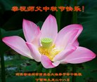 ֹ,ӱ󷨵ӹףʦ(20)