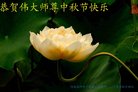 ֹ,ϴ󷨵ӹףʦ(23)