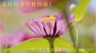 ֹ,󷨵ӹףʦ(19)