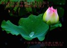ֹ,Ĵ󷨵ӹףʦ(20)