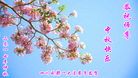 ֹ,ɶ󷨵ӹףʦ(20)