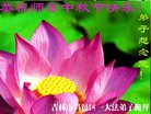 ֹ,д󷨵ӹףʦ(22)