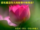 ֹ,ȷ󷨵ӹףʦ(21)