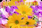 ֹ,󷨵ӹףʦ(20)