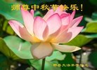 ֹ,ɶ󷨵ӹףʦ(16)