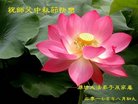 ֹ,Ϋ󷨵ӹףʦ(23)