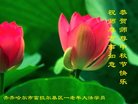 ֹ,󷨵ӹףʦ(19)