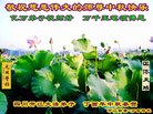 ֹ,Ĵ󷨵ӹףʦ(25)