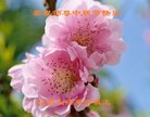 ֹ,󷨵ӹףʦ(22)