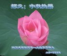 ֹ,ɶ󷨵ӹףʦ(16)